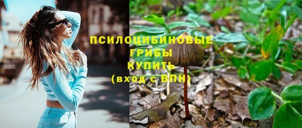 герыч Переславль-Залесский