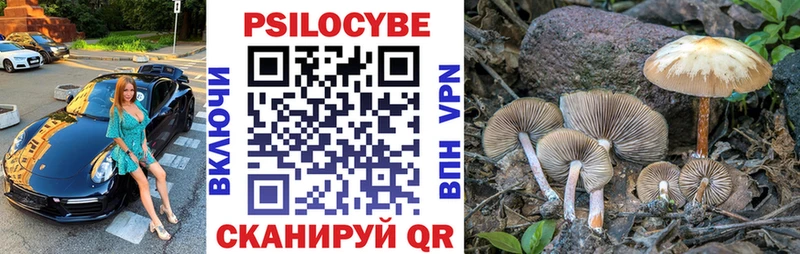 Псилоцибиновые грибы Psilocybe  OMG ссылки  Свободный 