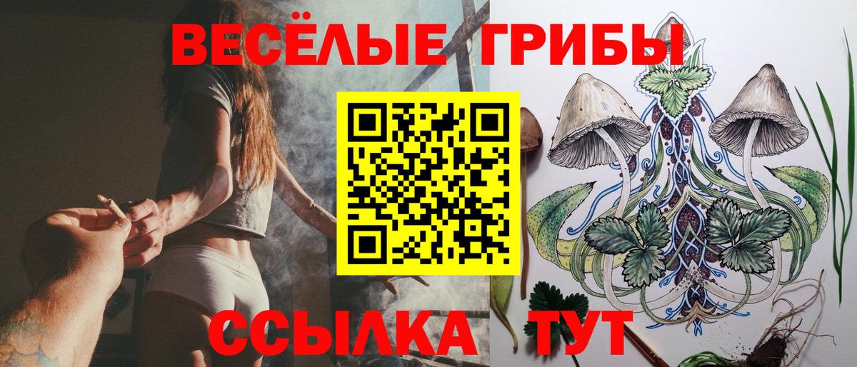 Свободный  Псилоцибиновые грибы мицелий  Вход с VPN 