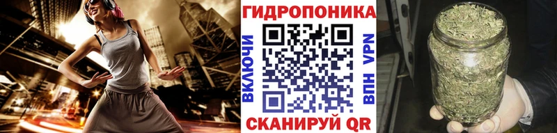 Каннабис OG Kush  Свободный 